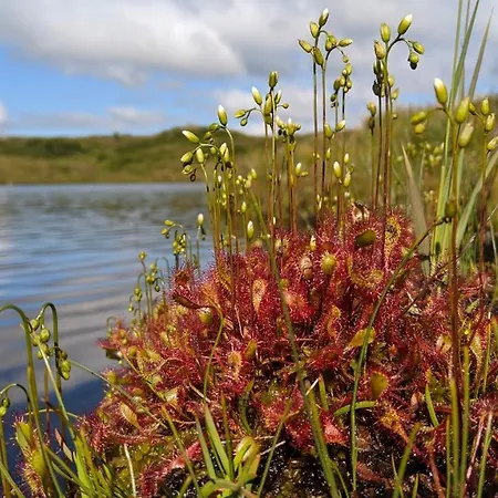 Casa de Férias Krakehaugen Feriehus, A Perfect Retreat Near *