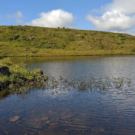 Krakehaugen Feriehus, A Perfect Retreat Near * Aheim